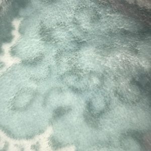 Meet your Posher, Sierra